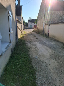 Photo de galerie - Tonte de pelouse - Débroussaillage