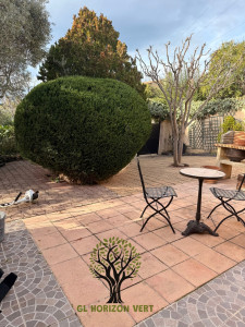 Photo de galerie - Entretien des jardins 