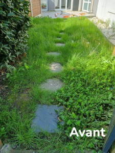 Photo de galerie - Prestations de tonte de pelouse avant. 
