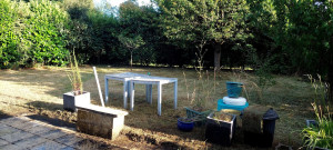 Photo de galerie - Nettoyage Jardin Après