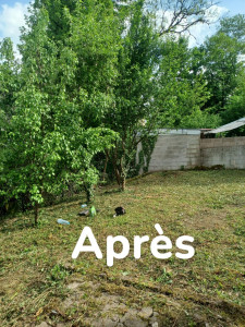 Photo de galerie - Tonte de pelouse - Débroussaillage