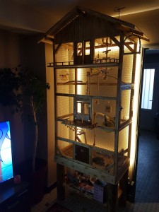 Photo de galerie - Fabrication cage à oiseaux et installation éclairage indirect 