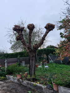 Photo de galerie - Après 