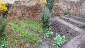 Photo de galerie - Mauvaise herbes et terre retournée 