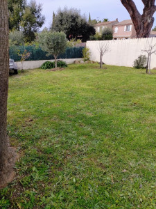 Photo de galerie - Tonte