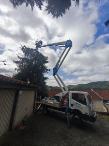 Photo de galerie - Abattage arbres ? danger voisinage 