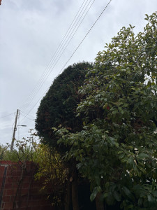 Photo de galerie - Après 