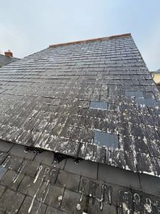 Photo de galerie - Couverture - Toiture