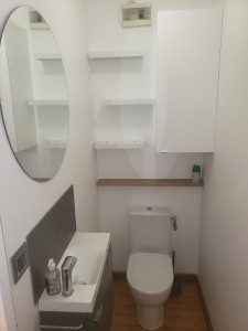 Photo de galerie - Pose d'étagères + miroir + colonne + changement du WC