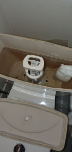 Photo de galerie - Remplacement chasse d'eau 