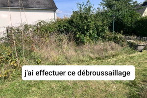 Photo de galerie - Tonte de pelouse - Débroussaillage