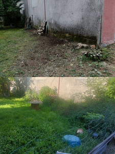 Photo de galerie - Débroussaillage et évacuation des déchets