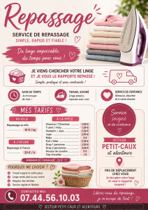 Photo de galerie - Je vous propose mes services de repassage secteur petit-caux et ces alentours 

