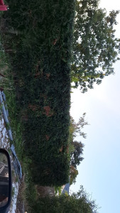 Photo de galerie - .