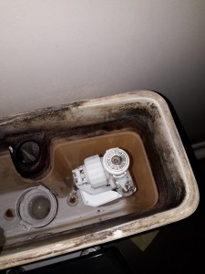 Photo de galerie - Remplacement mécanisme wc.