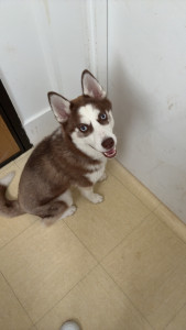 Photo de galerie - Kiara