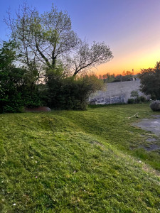 Photo de galerie - Tonte herbe sans ramassage très haute 50-60cm au plus haut après 