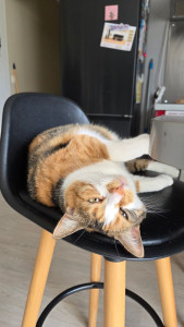 Photo de galerie - Arya, la petite sœur 