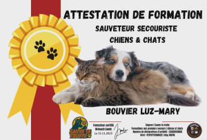 Photo de galerie - Formation acquis avec succès 