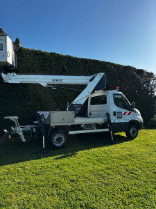 Photo de galerie - Taille de haies et d'arbustes