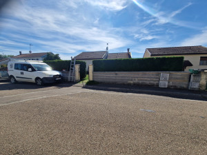 Photo de galerie - Taille de haies 