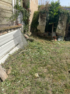 Photo de galerie - Tonte de pelouse - Débroussaillage