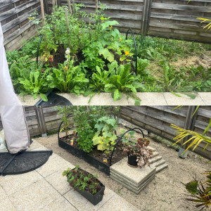 Photo de galerie - Désherbage, remise au propre 