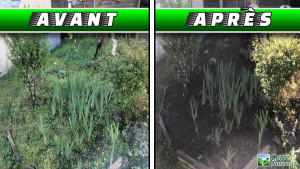 Photo de galerie - Désherbage manuel (arrachage des mauvaises herbes)