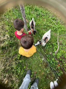 Photo de galerie - Garde enfant 