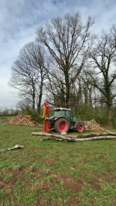 Photo de galerie - élagage et coupe d’arbres