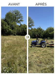 Photo de galerie - Défrichage de haute herbe au tracteur 