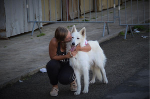 Photo de galerie - Plusieurs gardes depuis des années à mon domicile, j’ai toujours vécue avec ses chiens dès mon plus jeune âge, de races différentes 