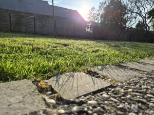 Photo de galerie - Tonte