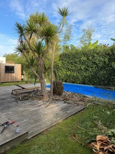 Photo de galerie - Entretien piscine