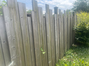 Photo de galerie - Palissades en bois