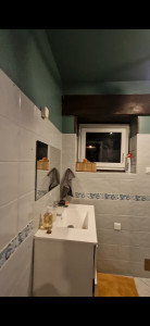 Photo de galerie - Salle de douche après rénovation 