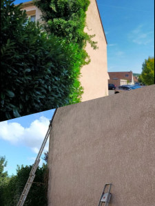 Photo de galerie - Nettoyage d'une façade avec enlèvement de lierres jusque sous les tuiles.