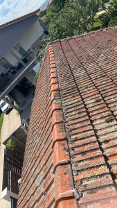 Photo de galerie - Couverture - Toiture