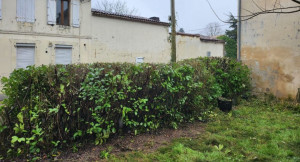 Photo de galerie - Taille et rabattage de haie avant après