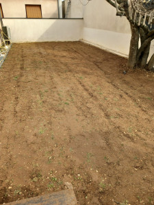 Photo de galerie - Mise à niveau du terrain à plannissage avec rouleau