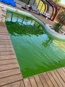 Photo de galerie - Entretien piscine