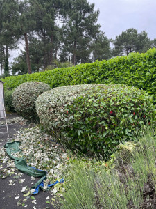 Photo de galerie - Taille boules 