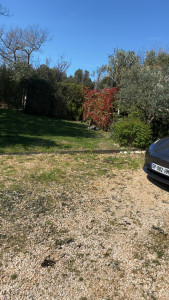 Photo de galerie - Enlever déchets vert (après )