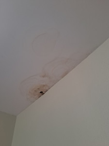 Photo de galerie - Plâtrerie - Murs - Plafonds