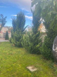 Photo de galerie - Avant 