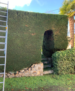 Photo de galerie - Jardinier