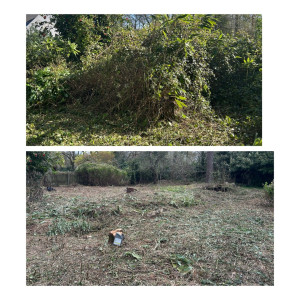 Photo de galerie - Débroussaillage d’un roncier 