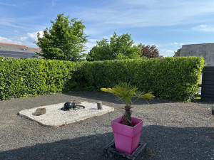 Photo de galerie - Taille de haie après rabaissement 