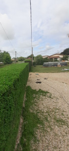 Photo de galerie - Taille de haies et d'arbustes