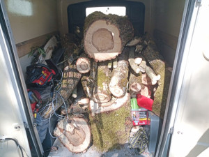 Photo de galerie - Coupe de bois pour éclaircir un jardin.
